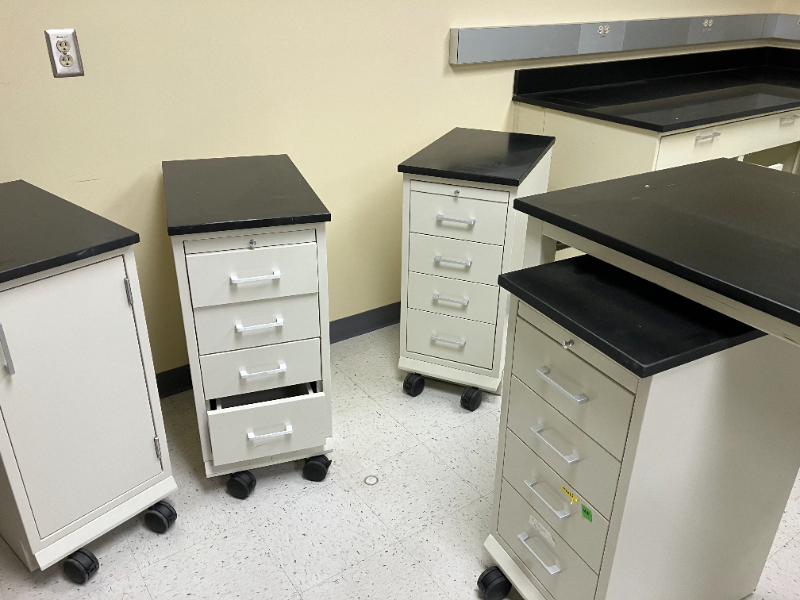 LABORATORY TABLES & CABINETS — photo 1