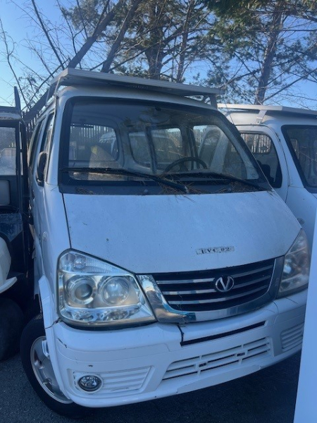Vantage EV1000 Cart — photo 1