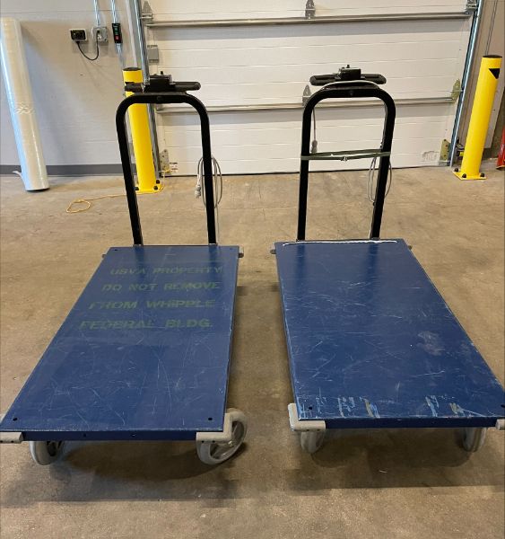 Motorized Platform Carts