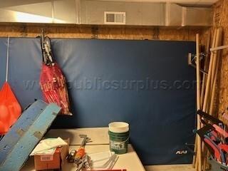 Large gym mat (16' x 7.5')