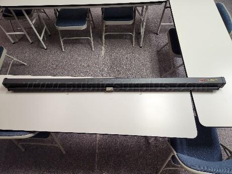 Projector Screen  (Unit #1)