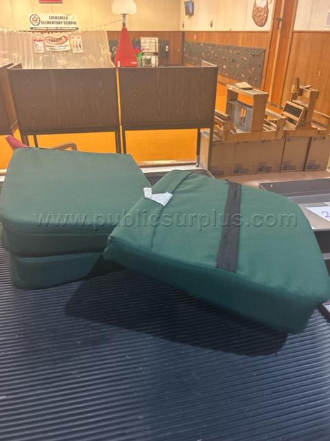 Set of Three Chair Cushions