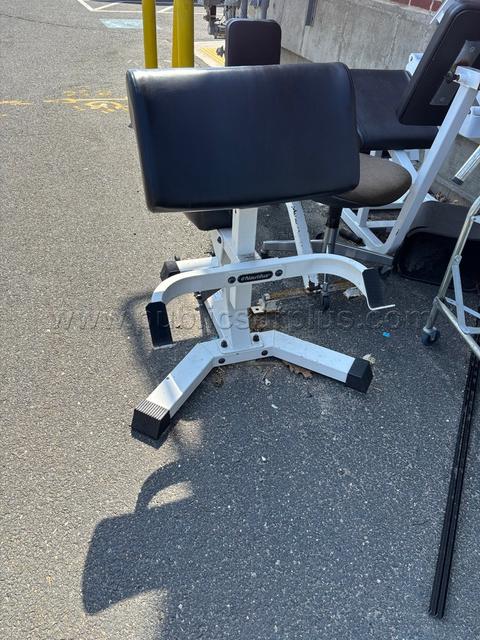 Nautilus curling bench