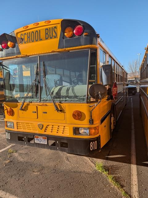 School Bus 810