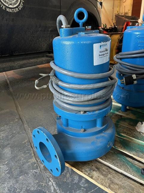 Cast Iron Sewage Ejector Pump Model WS7532D4